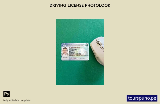 listo para imprimir plantilla FRONTAL de foto de licencia de conducir de El Salv